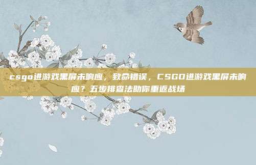csgo进游戏黑屏未响应,致命错误,CSGO进游戏黑屏未响应?五步排查法助你重返战场