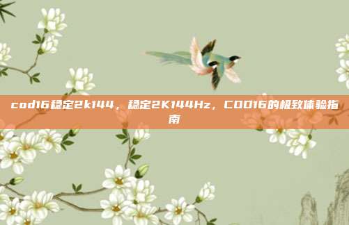 cod16稳定2k144,稳定2K144Hz,COD16的极致体验指南