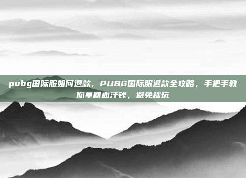 pubg国际服如何退款,PUBG国际服退款全攻略,手把手教你拿回血汗钱,避免踩坑