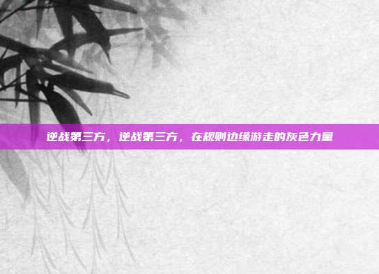 逆战第三方,逆战第三方,在规则边缘游走的灰色力量