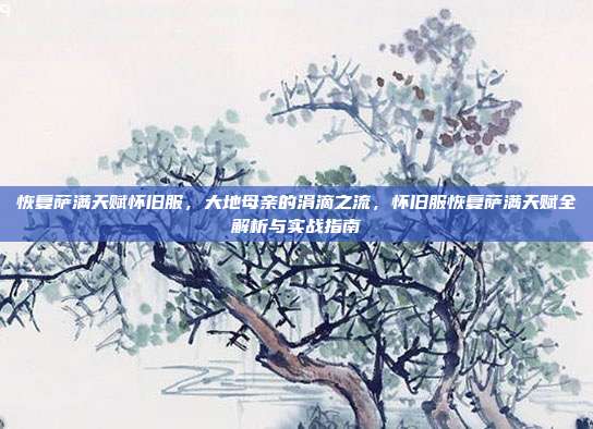 恢复萨满天赋怀旧服,大地母亲的涓滴之流,怀旧服恢复萨满天赋全解析与实战指南
