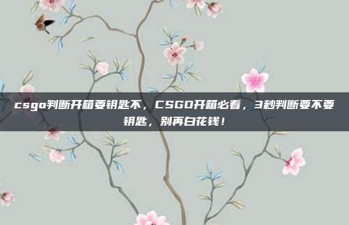 csgo判断开箱要钥匙不,CSGO开箱必看,3秒判断要不要钥匙,别再白花钱!