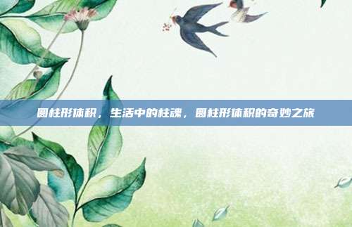 圆柱形体积,生活中的柱魂,圆柱形体积的奇妙之旅