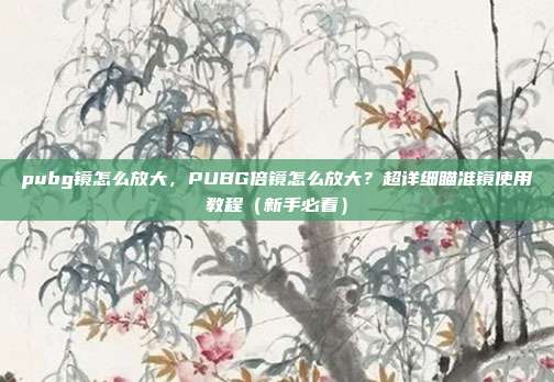 pubg镜怎么放大,PUBG倍镜怎么放大?超详细瞄准镜使用教程(新手必看)