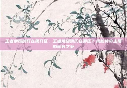 王者荣耀嗨氏在第几区,王者荣耀嗨氏在哪区?揭秘传奇主播的藏身之处