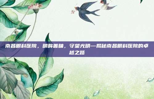 南昌眼科医院,明眸善睐,守望光明—揭秘南昌眼科医院的卓越之路