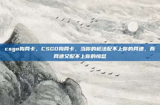 csgo狗网卡,CSGO狗网卡,当你的枪法配不上你的网速,而网速又配不上你的愤怒