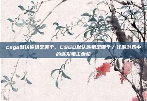 csgo默认连狙是哪个,CSGO默认连狙是哪个?详解游戏中的连发狙击步枪