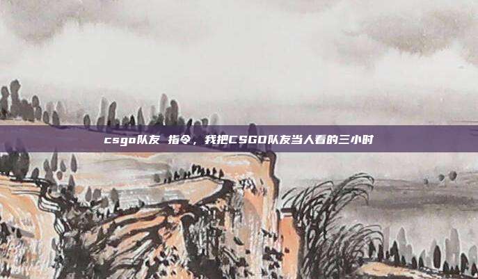 csgo队友 指令,我把CSGO队友当人看的三小时
