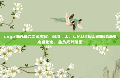 csgo狙的竖线怎么加粗,精准一击,CS:GO狙击镜竖线加粗完全指南,告别模糊准星