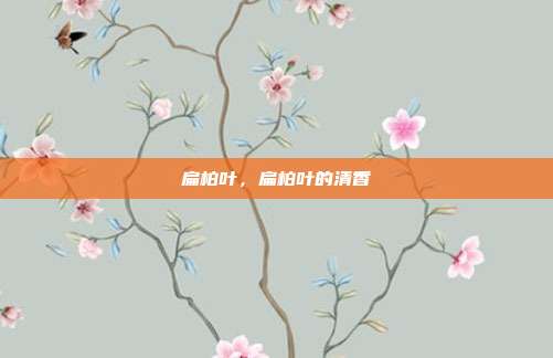 扁柏叶,扁柏叶的清香