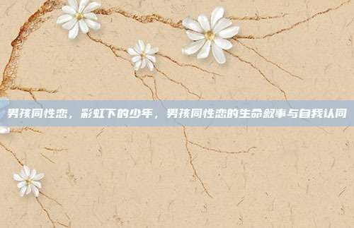 男孩同性恋,彩虹下的少年,男孩同性恋的生命叙事与自我认同