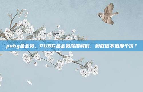 pubg金会员,PUBG金会员深度解剖,到底值不值那个价?