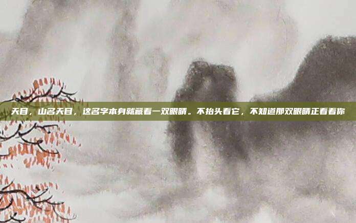 天目,山名天目,这名字本身就藏着一双眼睛。不抬头看它,不知道那双眼睛正看着你