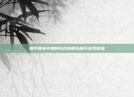 和平精英中如何修改旗帜以提升游戏体验
