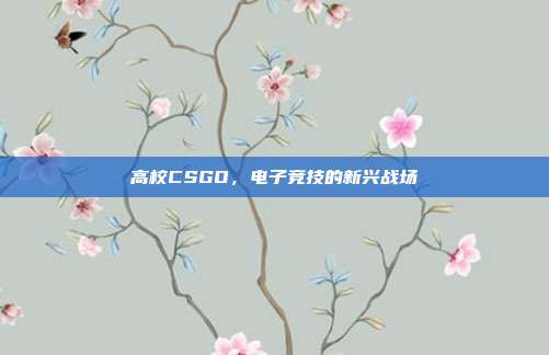 高校CSGO,电子竞技的新兴战场