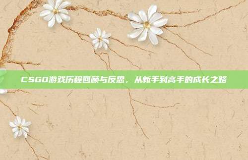 CSGO游戏历程回顾与反思,从新手到高手的成长之路