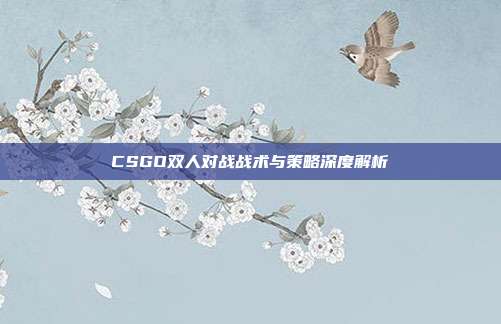 CSGO双人对战战术与策略深度解析