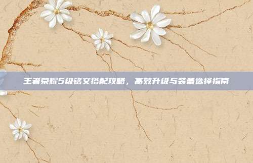 王者荣耀5级铭文搭配攻略,高效升级与装备选择指南
