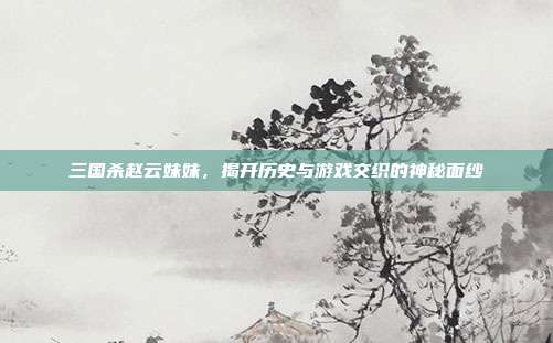 三国杀赵云妹妹,揭开历史与游戏交织的神秘面纱