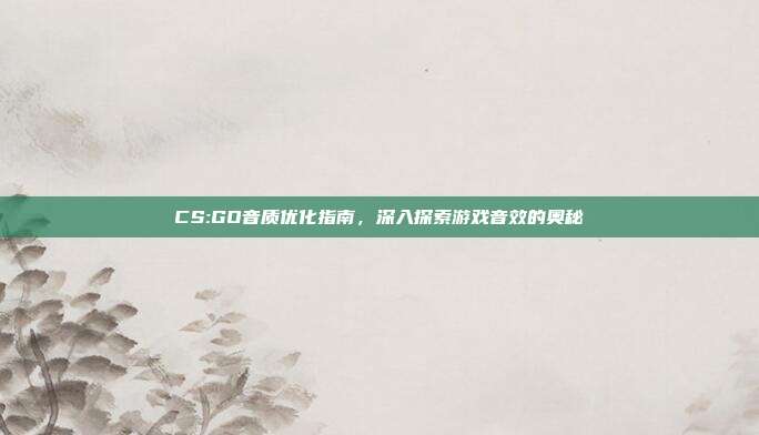CS:GO音质优化指南,深入探索游戏音效的奥秘