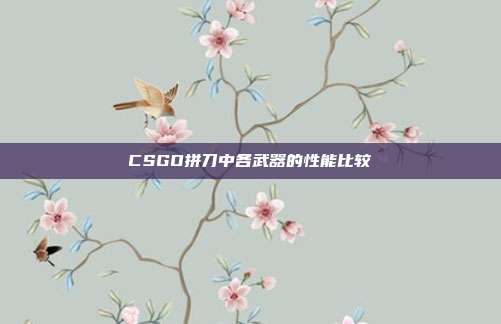 CSGO拼刀中各武器的性能比较
