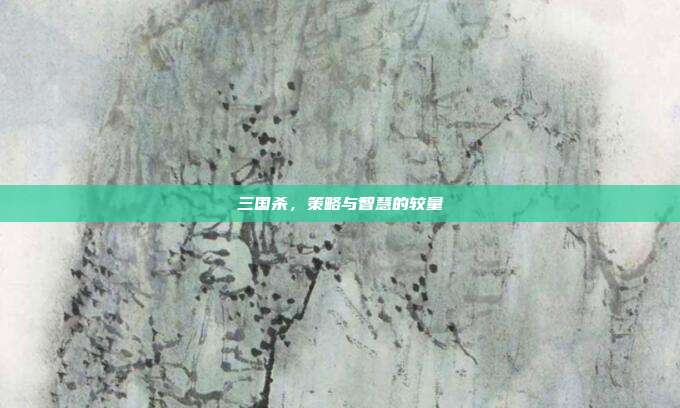 三国杀,策略与智慧的较量