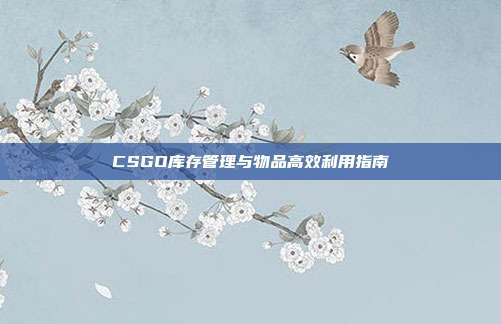 CSGO库存管理与物品高效利用指南