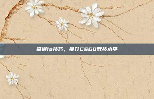 掌握Io技巧,提升CSGO竞技水平