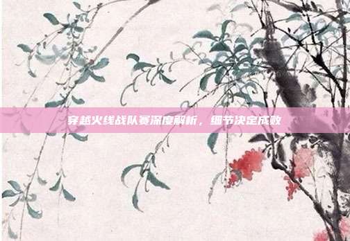 穿越火线战队赛深度解析,细节决定成败