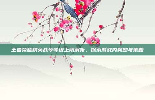 王者荣耀精英战令等级上限解析,探索游戏内奖励与策略