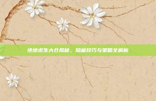 绝地求生大仓揭秘,隐藏技巧与策略全解析