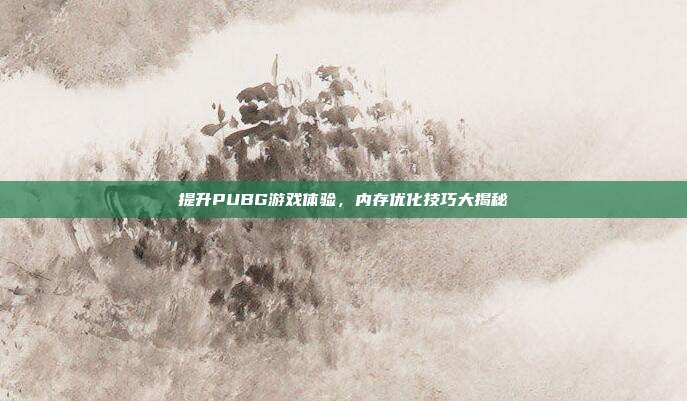 提升PUBG游戏体验,内存优化技巧大揭秘