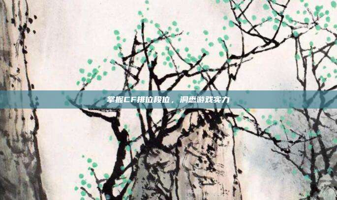 掌握CF排位段位,洞悉游戏实力