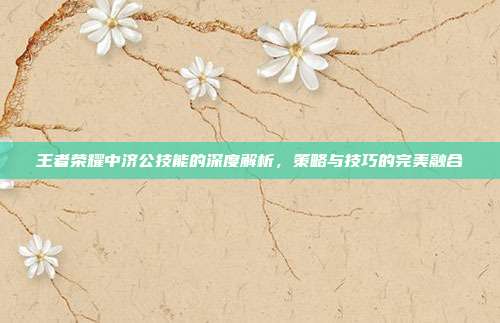 王者荣耀中济公技能的深度解析,策略与技巧的完美融合