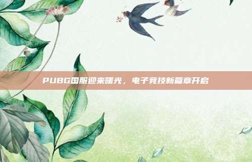 PUBG国服迎来曙光,电子竞技新篇章开启
