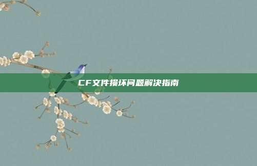 CF文件损坏问题解决指南