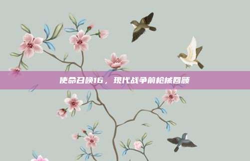 使命召唤16,现代战争前枪械回顾