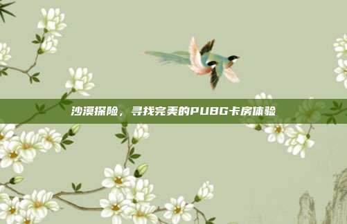 沙漠探险,寻找完美的PUBG卡房体验