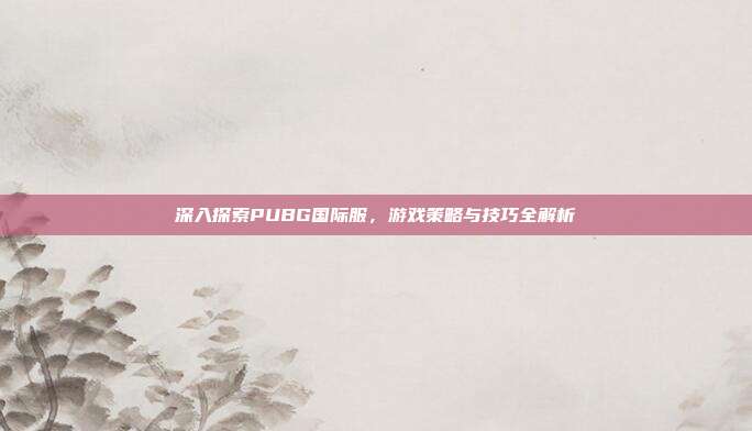 深入探索PUBG国际服,游戏策略与技巧全解析