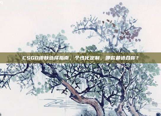 CSGO皮肤选择指南,个性化定制,哪款最适合你?
