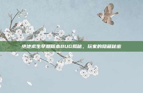 绝地求生早期版本BUG揭秘,玩家的隐藏秘密