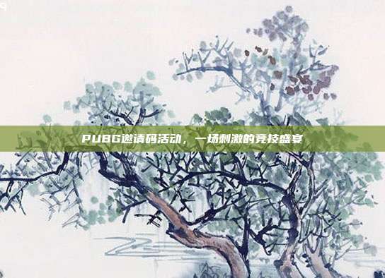 PUBG邀请码活动,一场刺激的竞技盛宴