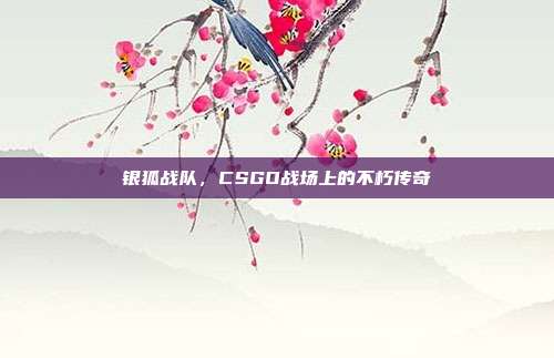 银狐战队,CSGO战场上的不朽传奇