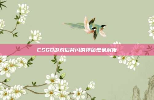 CSGO游戏后背闪的神秘现象解析