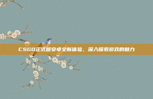 CSGO正式版安卓全新体验,深入探索游戏的魅力