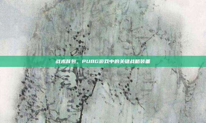 战术背包,PUBG游戏中的关键战略装备
