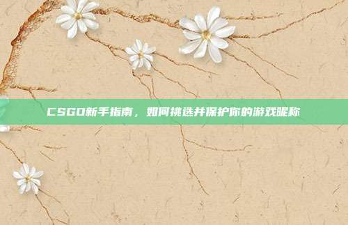 CSGO新手指南,如何挑选并保护你的游戏昵称