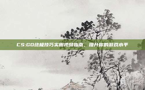 CS:GO终极技巧实用视频指南,提升你的游戏水平