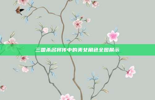 三国杀名将传中的美女角色全图展示